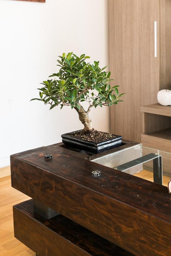 רומא Home House Borgo Pio 195 מראה חיצוני תמונה